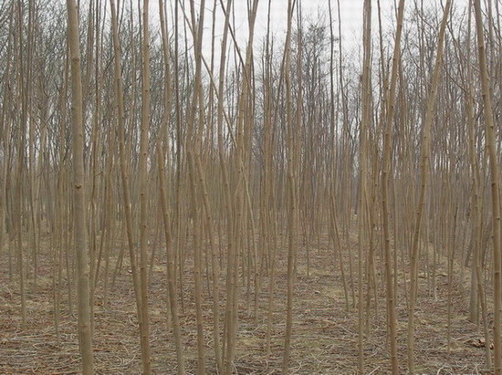 ����(sh��)